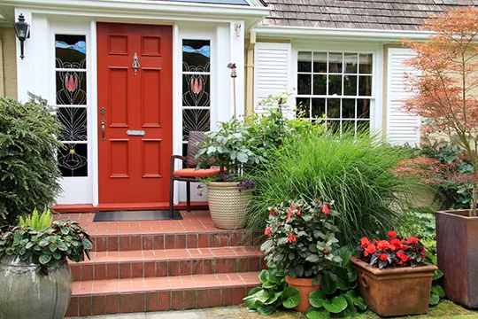 Best Plastic Composite Planters