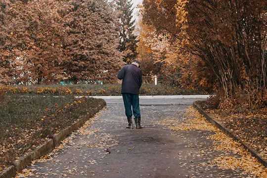 Best Cordless Leaf Blowers
